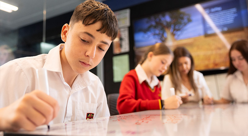 St Clare's Catholic College students studying