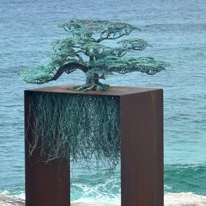 558480309647743_1266780578817709-1