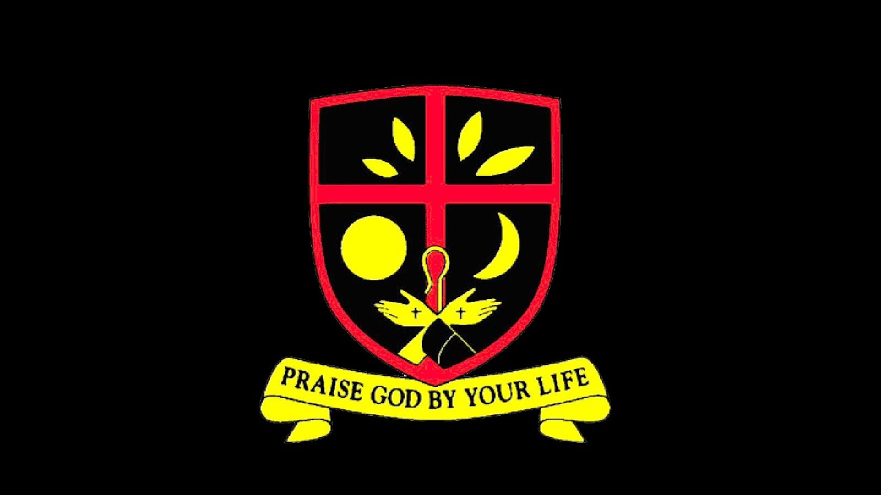 UExWN2RXajZaYkQ5UFhQU0x0a25KT3lVUG4ydGppMTV0cS41MjE1MkI0OTQ2QzJGNzNG-1